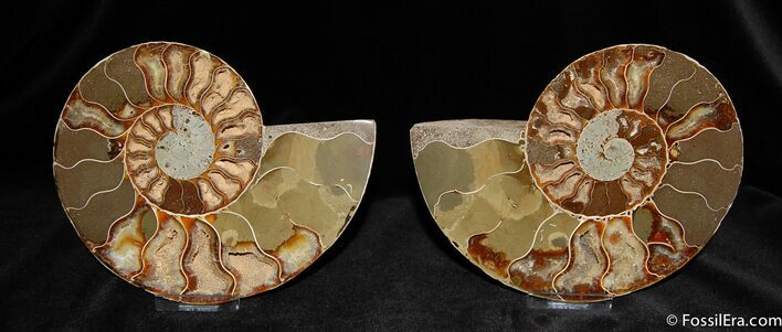 Inch Split Ammonite Pair From Madagascar #593